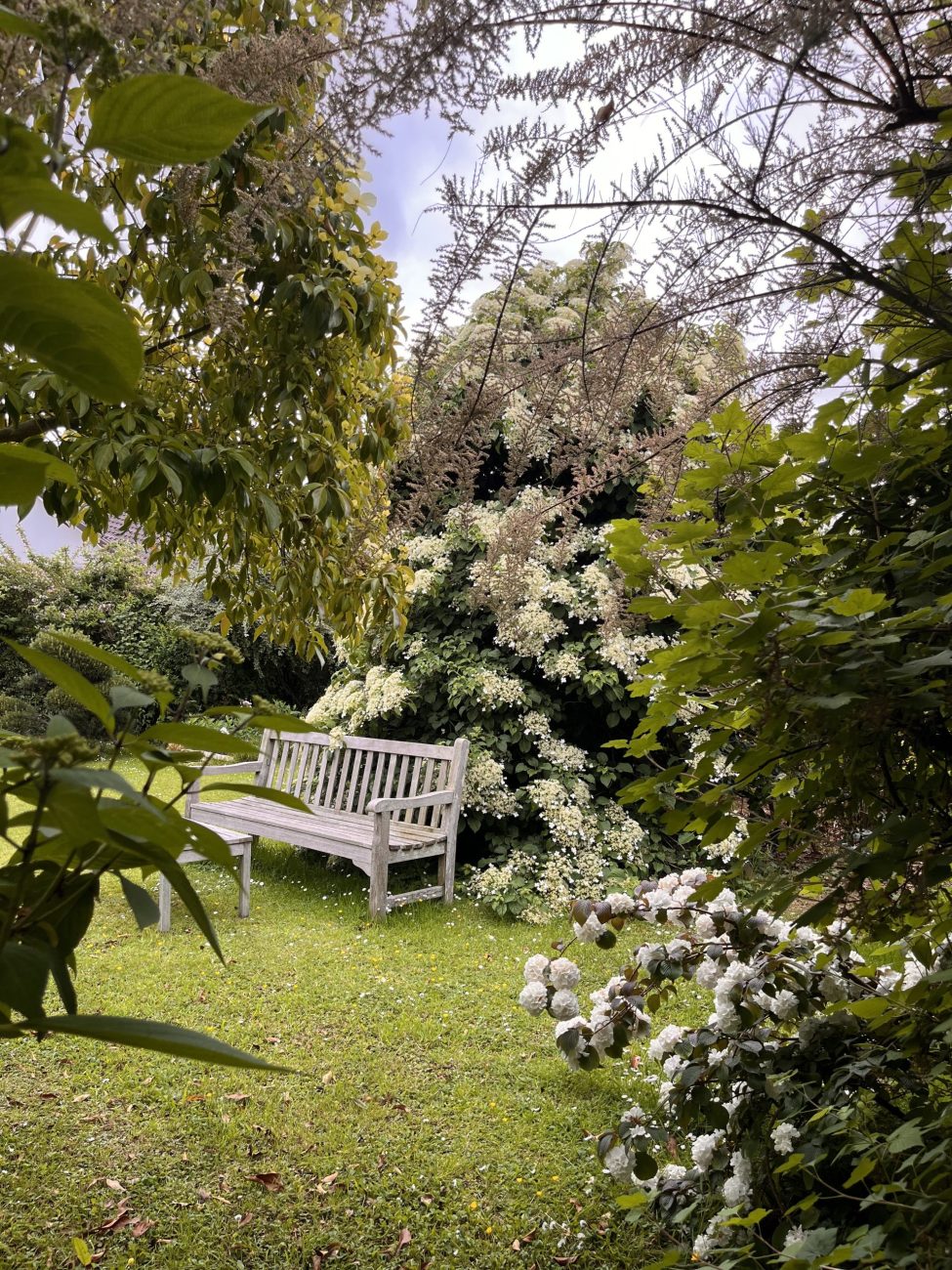 entretien jardin tonte
